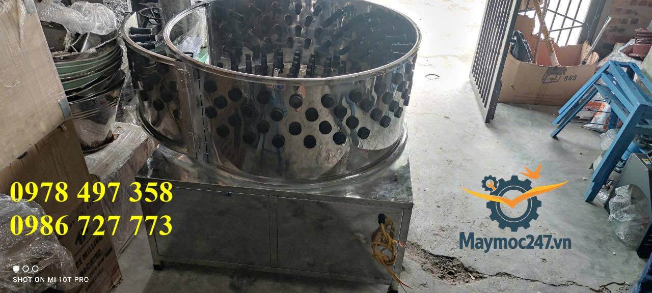Máy vặt lông chó không rách da – sạch đến 99% – thùng inox 100cm chuyên dụng cho lò mổ