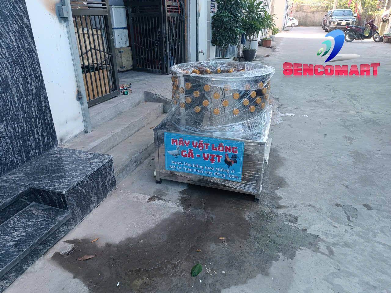 Giải Pháp Vặt Lông Chó Sạch 100% Không Xước Da: Máy Tự Động.
