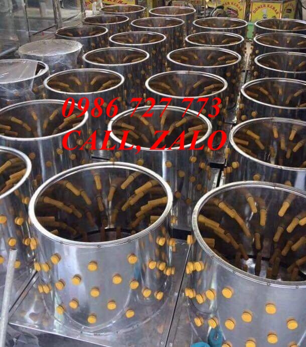 MÁY VẶT LÔNG GÀ PHI 50 SIÊU SẠCH, INBOX 304