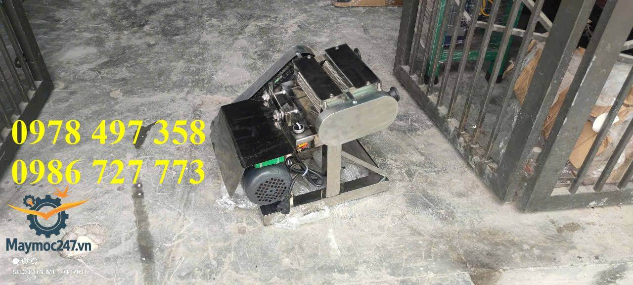Máy làm mềm thịt inox 304, năng suất cao, giao nhanh. Giá tại xưởng