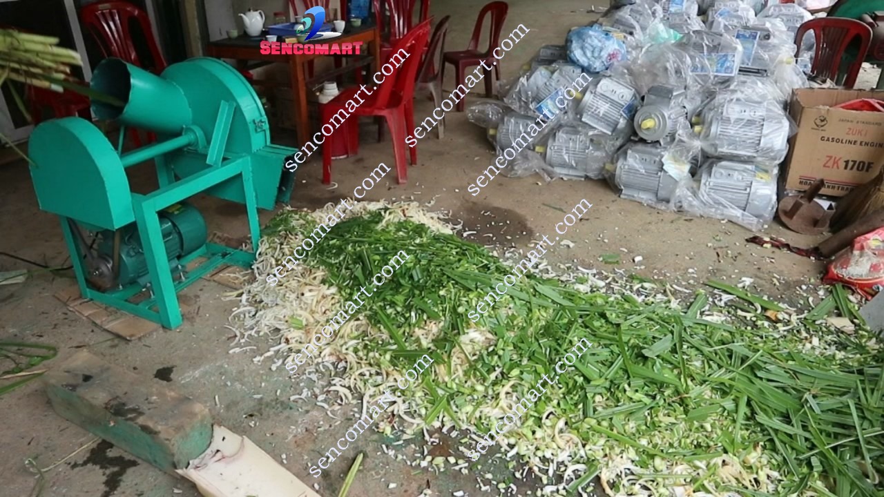 Máy băm cỏ voi cho trâu bò, băm chuối cho cá công suất 1,1kw