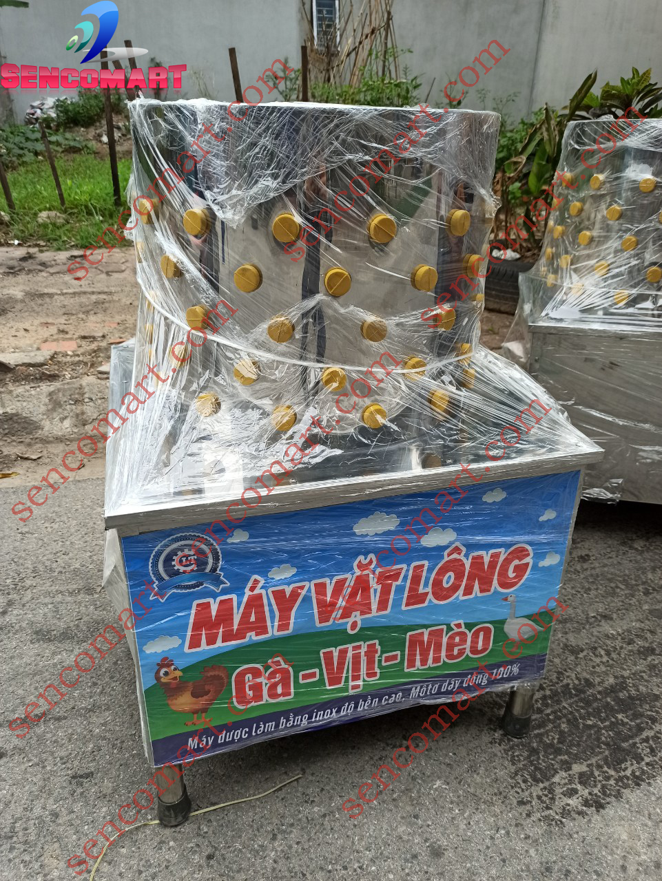 Máy vặt lông gà vịt Inox304 p55