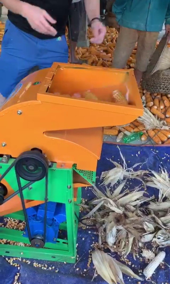Máy tách ngô hạt cả bẹ động cơ 2,2kw dây đồng 100%